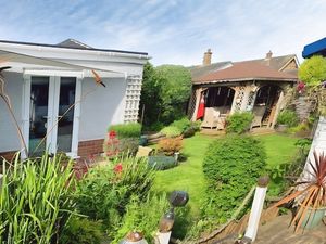 SUMMER GARDEN PHOTO- click for photo gallery